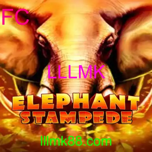 ElephantStampede